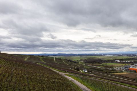 Es wird ungewöhnlich warm im Advent. Foto: Philipp von Ditfurth/dpa