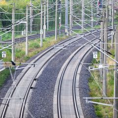 Ein Marder hat den Bahnverkehr zwischen Magdeburg und Dessau nahezu lahmgelegt. (Symbolbild) Foto: Julian Stratenschulte/dpa