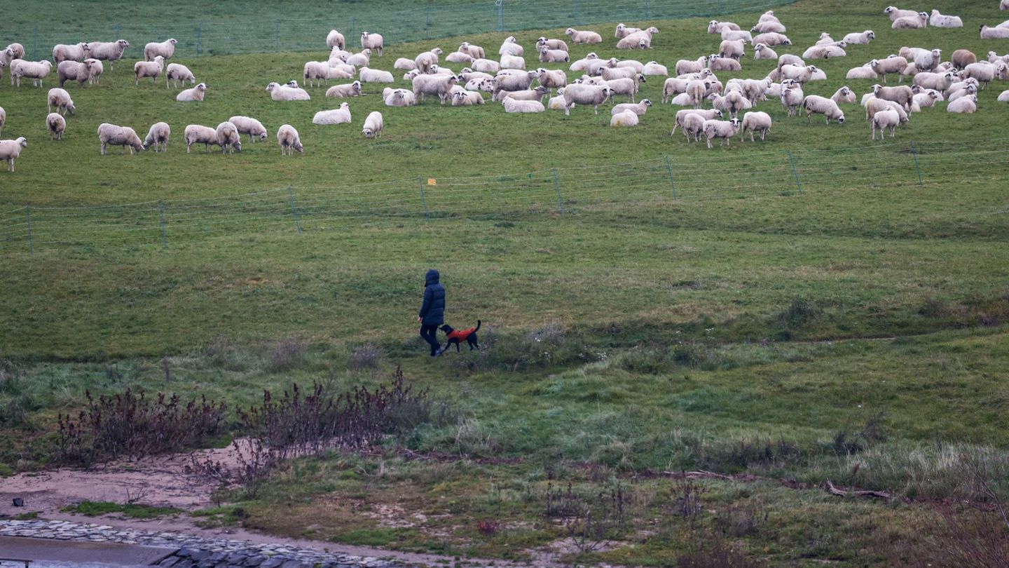 Es bleibt mild und für die Jahreszeit zu warm in NRW. (Archivbild) Foto: Thomas Banneyer/dpa
