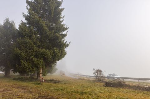 Am Unfallort wurden Kerzen aufgestellt. Foto: Philipp von Ditfurth/dpa