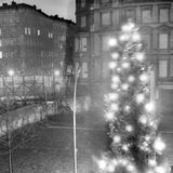Auch in den Jahren nach dem Mauerbau geht die Aktion weiter. Hier überstrahlt ein Weihnachtsbaum 1962 an der Bernauer Straße den Sichtschutz auf DDR-Seite