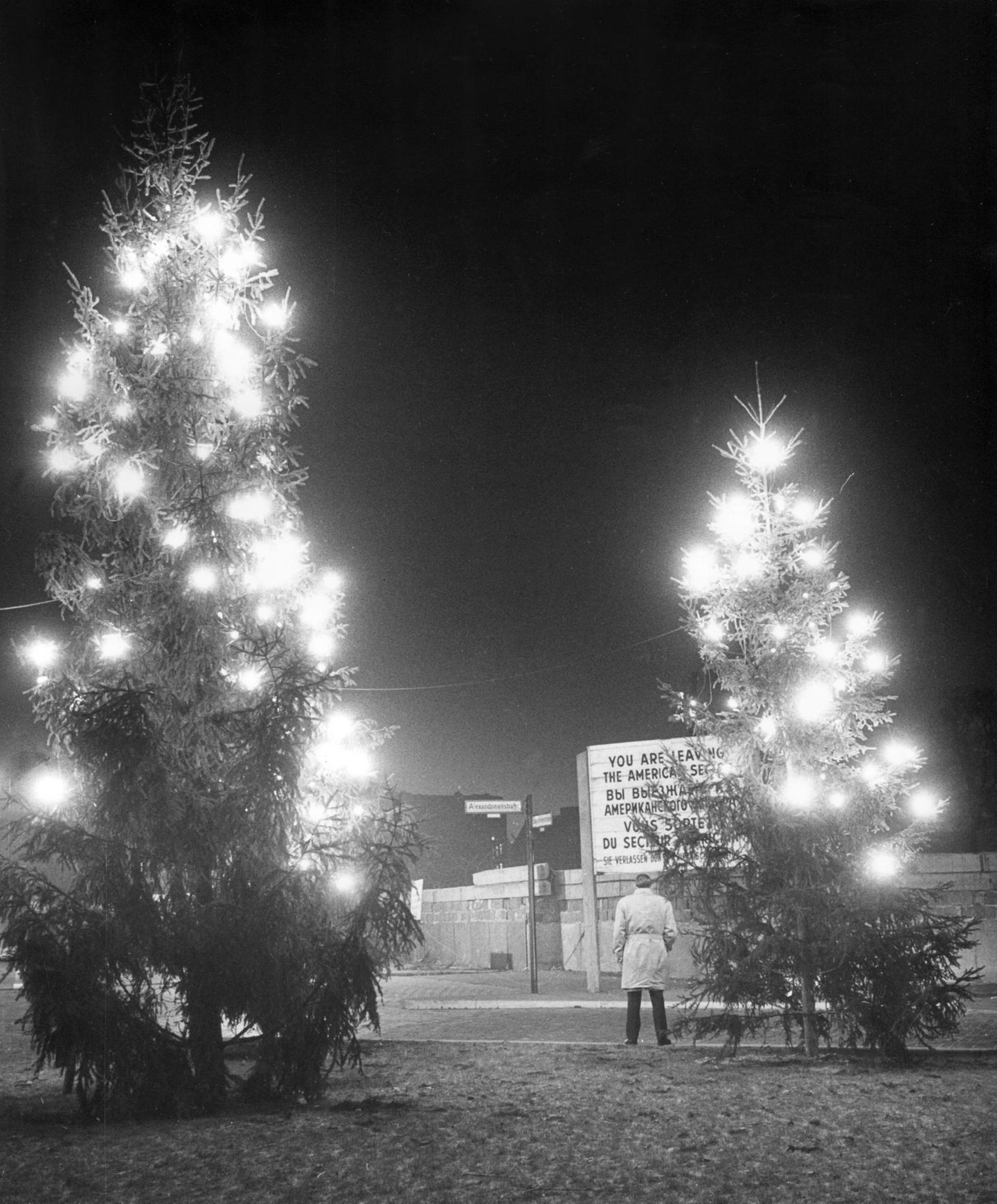Die Bäume sind in fast allen Teilen Westberlins entlang der Mauer aufgestellt, hier an der Otto-Suhr-Siedlung im Bezirk Tempelhof-Schöneberg