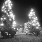 Die Bäume sind in fast allen Teilen Westberlins entlang der Mauer aufgestellt, hier an der Otto-Suhr-Siedlung im Bezirk Tempelhof-Schöneberg