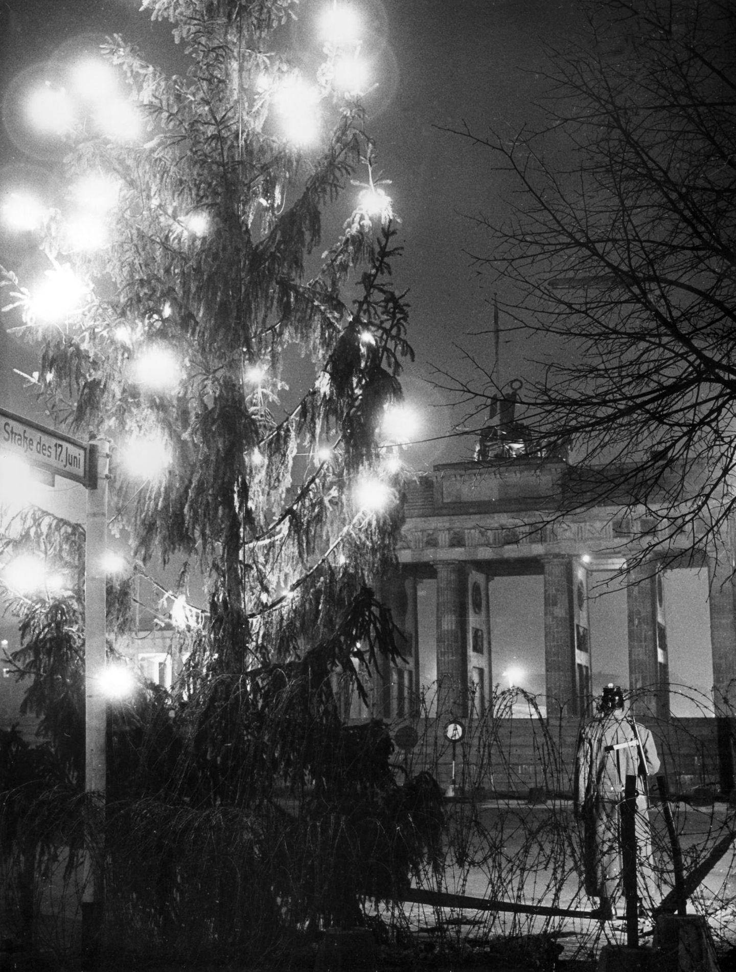 Der letzte Baum vor der Zonengrenze in Nahaufnahme. Beim Anschließen der Lichterketten unterstützt das Technische Hilfswer´k