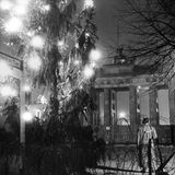 Der letzte Baum vor der Zonengrenze in Nahaufnahme. Beim Anschließen der Lichterketten unterstützt das Technische Hilfswer´k