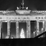 Im selben Jahr stellen auch die DDR-Behörden am Brandenburger Tor einen Baum auf, der bis in den Westen zu sehen ist