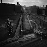 Auch am Grenzübergang Heinrich-Heine-Straße steht eine Tanne – in Sichtweite der DDR-Grenzer. Sie sollen die Bäume mitunter mit Steinen beworfen haben