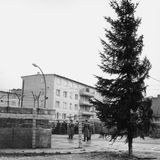 Deutlich zu erkennen ist, wie nah die Bäume an der Zonengrenze stehen – das Sperrbauwerk ist im Dezember 1961 größtenteils noch ein Provisorium