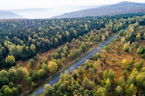 Die Forschenden empfehlen verschiedene Varianten, um das Klima zu schützen. (Symbolbild) Foto: Swen Pförtner/dpa
