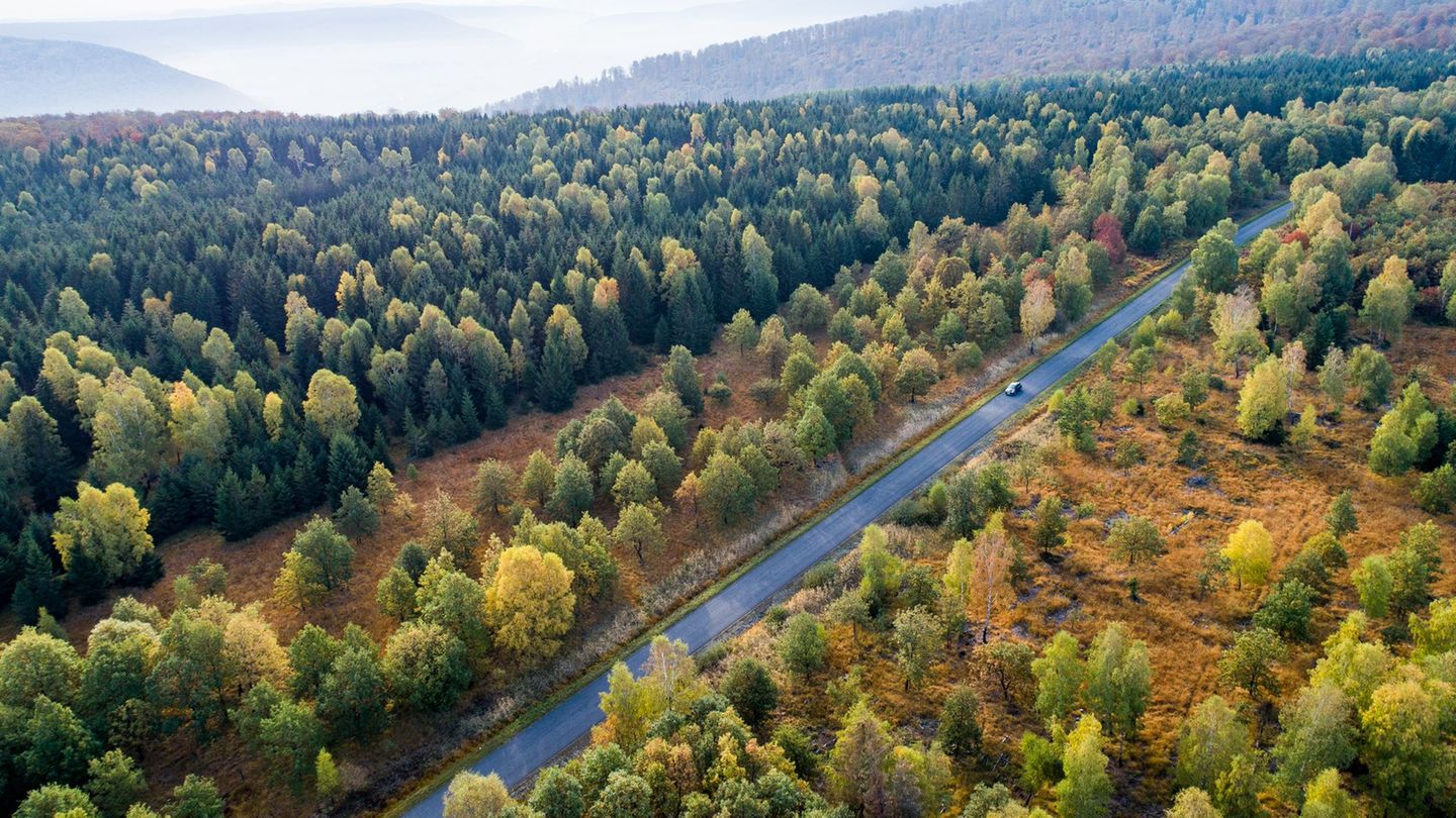Die Forschenden empfehlen verschiedene Varianten, um das Klima zu schützen. (Symbolbild) Foto: Swen Pförtner/dpa