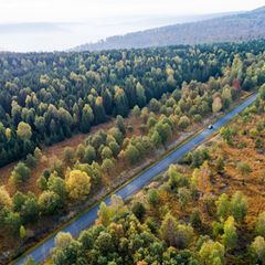 Die Forschenden empfehlen verschiedene Varianten, um das Klima zu schützen. (Symbolbild) Foto: Swen Pförtner/dpa