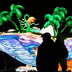 Die neuen Lichtinstallationen im Bergzoo Halle sind vom 12. Dezember bis 1. März zu sehen. (Archivbild) Foto: Heiko Rebsch/dpa