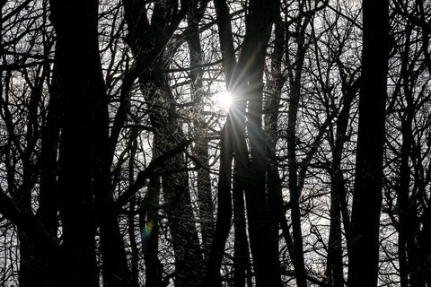 In Berlin und Brandenburg bleibt das Wetter mild. Foto: Britta Pedersen/dpa
