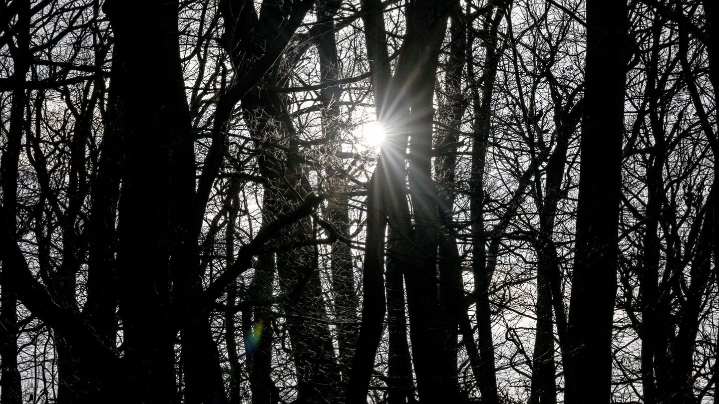 In Berlin und Brandenburg bleibt das Wetter mild. Foto: Britta Pedersen/dpa