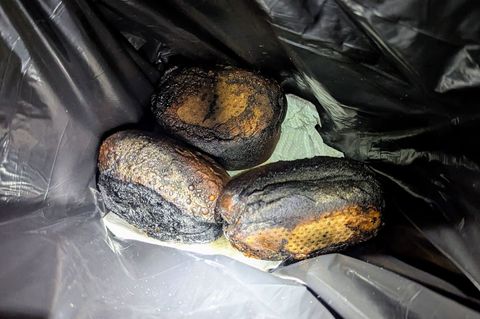 Drei Brötchen haben am Niederrhein einen Feuerwehreinsatz ausgelöst. Foto: Feuerwehr Bedburg-Hau/dpa