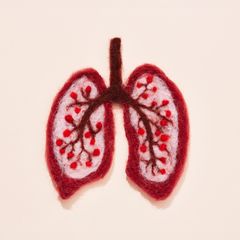 Eine Darstellung einer Lunge aus Woll-Filz
