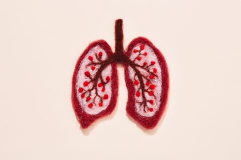 Eine Darstellung einer Lunge aus Woll-Filz