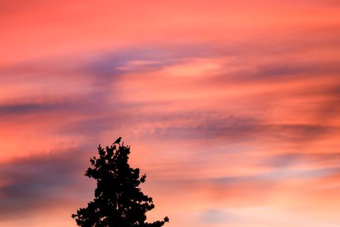 In Sachsen kommt es zu milden Temperaturen. (Symbolbild) Foto: Jan Woitas/dpa