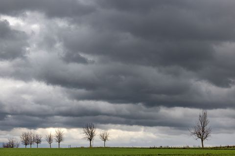 Die milde Meeresluft sorgt für gemäßigte Temperaturen in Thüringen. (Symbolbild) Foto: Michael Reichel/dpa-Zentralbild/dpa