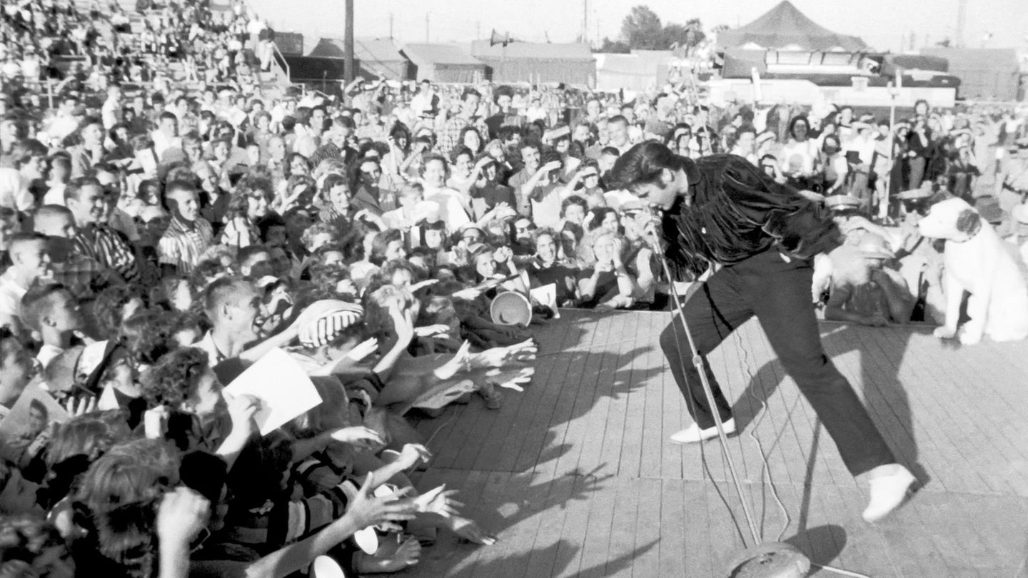 Von-Kafka-bis-Presley-Migr-ne-Die-Qualen-ber-hmter-K-pfe