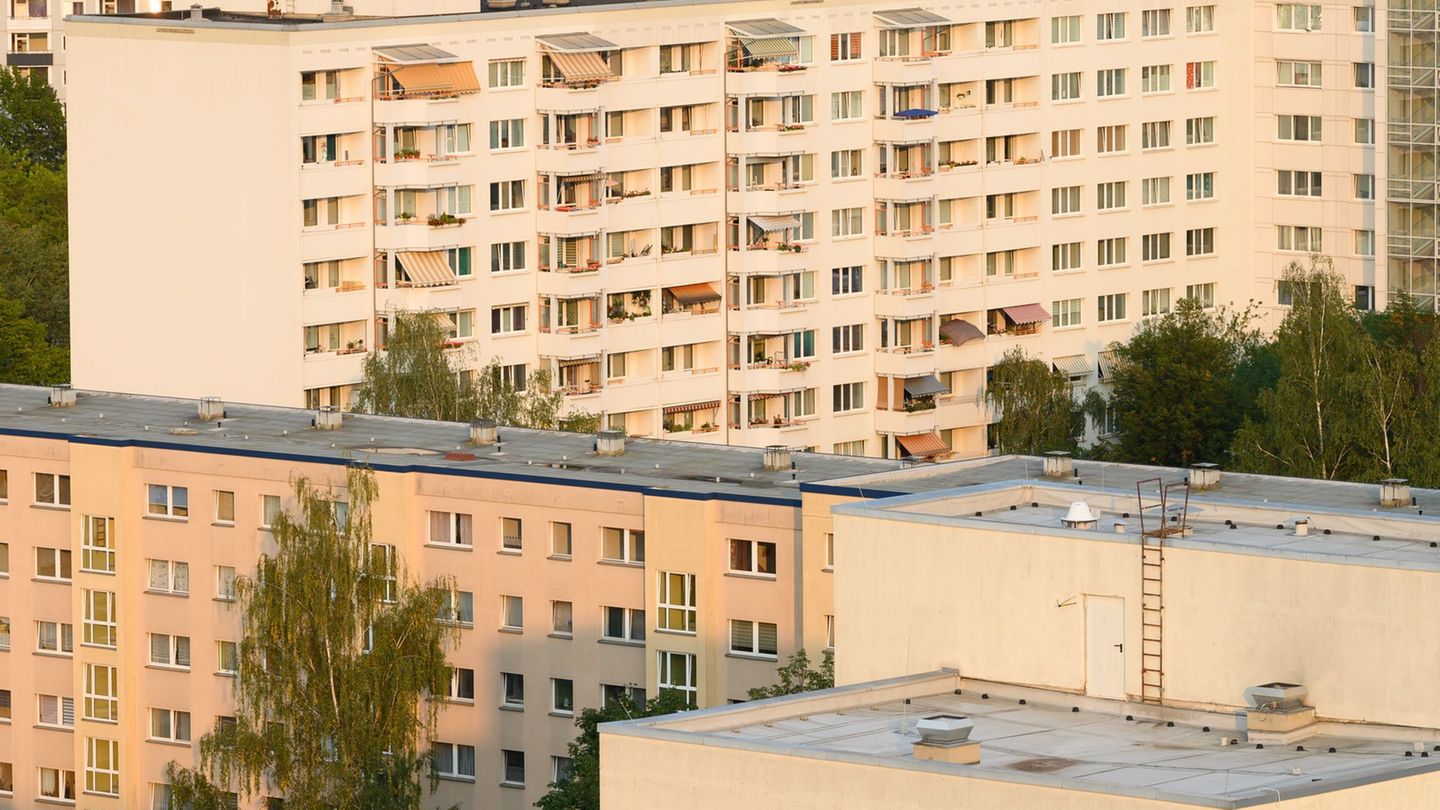 Das "Musaik"-Orchester mit Mädchen und Jungen aus 17 Ländern will am 18. Dezember die Fenster von Plattenbauten wie bei einem Ad