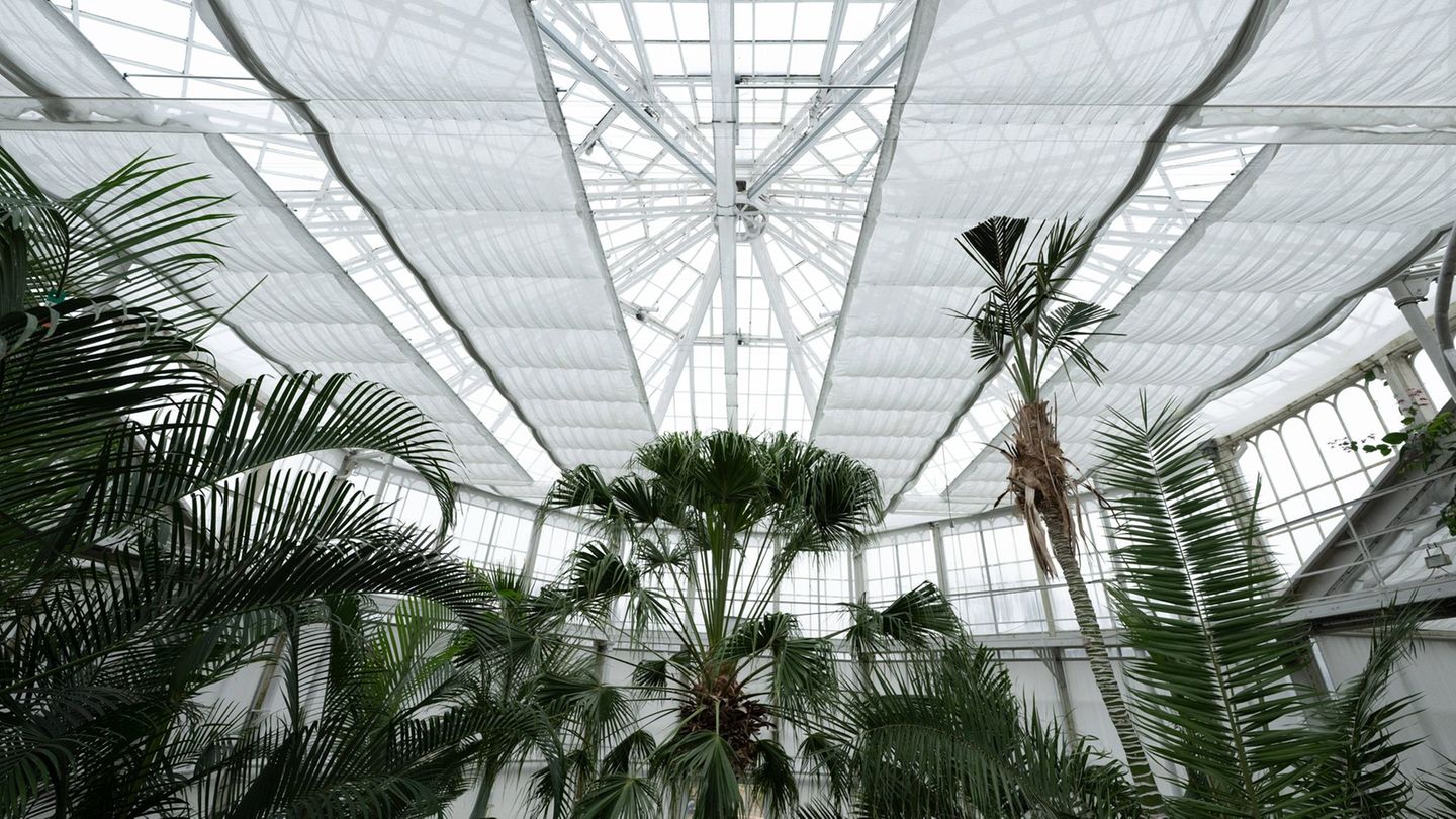 Der Energieschirm besteht aus feuerfestem Kunststoffgewebe. Foto: Sebastian Kahnert/dpa