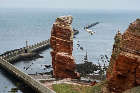 Mit einer Genossenschaft wollen die Helgoländer ihren Bäckerei retten (Archivbild). Foto: Frank Molter/dpa