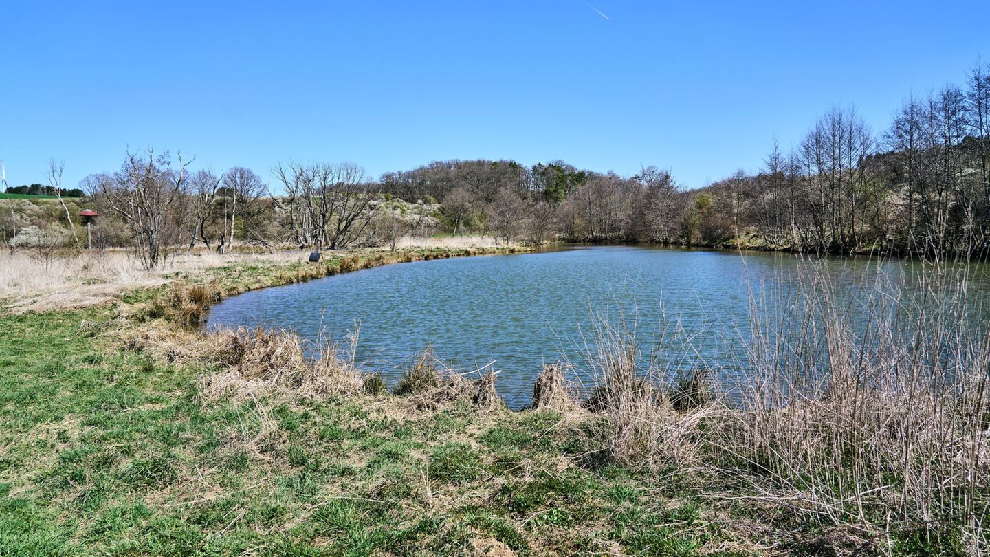 Die Pflege von Biotopen ist eine Aufgabe, um die sich Naturschutzstationen kümmern sollen. (Archivfoto) Foto: Sascha Ditscher/dp