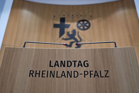 In 100 Tagen wird in Rheinland-Pfalz ein neuer Landtag gewählt. (Archivbild) Foto: Arne Dedert/dpa