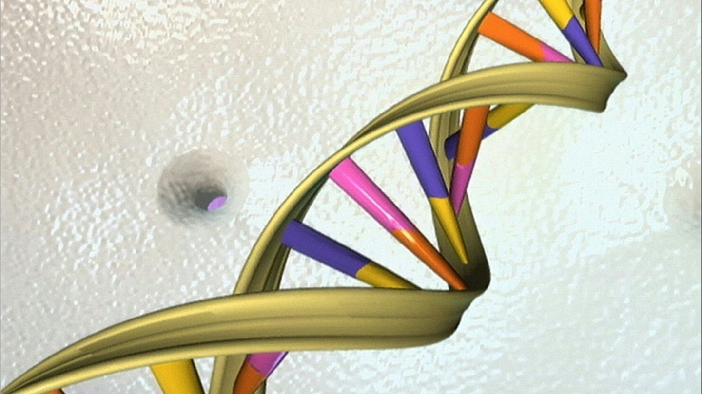 Modell der DNA-Helix