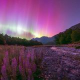 Violette Lupinen und violettes Nordlicht über einem Geröllbach, im Hintergrund eine Bergkette