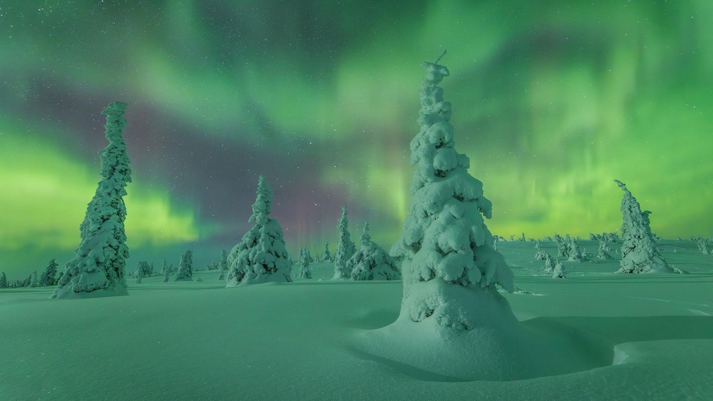 Schneelandschaft mit Nadelbäumen unter mildem grünem Polarlicht