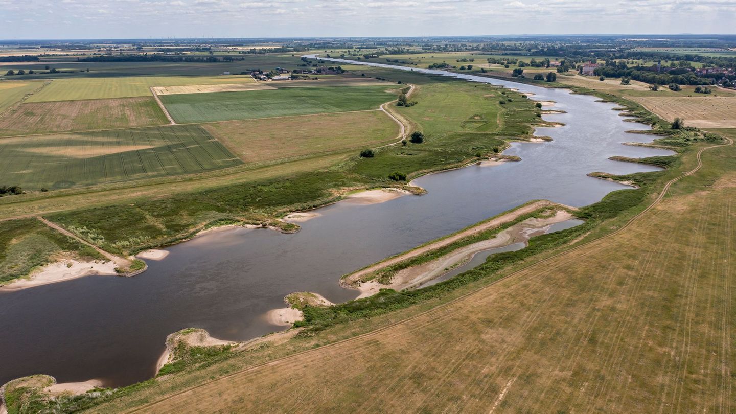 Blick auf die Elbe zwischen Bösewig und Klöden. (Archivbild) Foto: Jan Woitas/dpa
