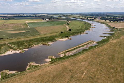 Blick auf die Elbe zwischen Bösewig und Klöden. (Archivbild) Foto: Jan Woitas/dpa