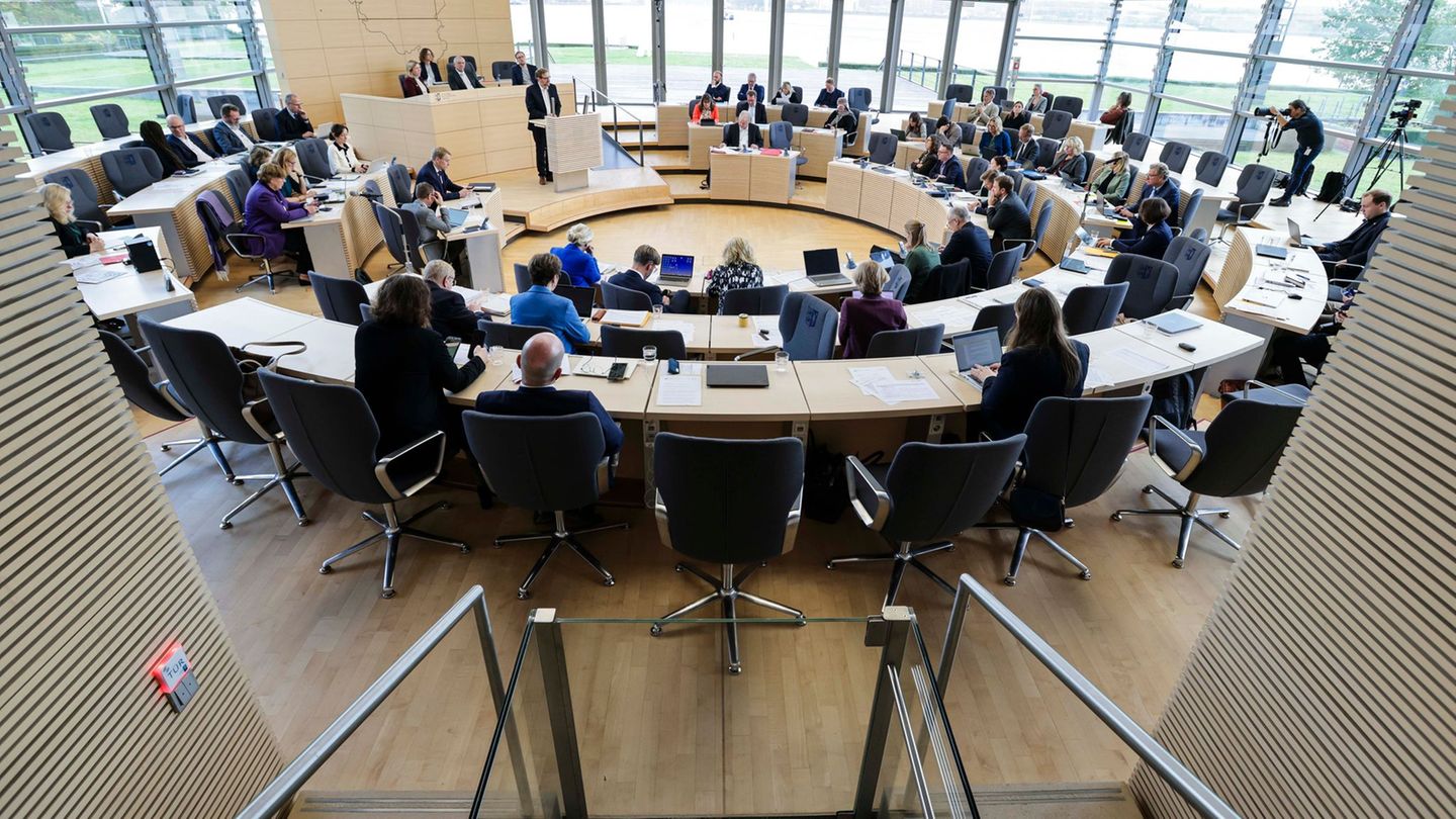 Abgeordnete wollen sich mit Neurodivergenzen bei Schülern ausführlich im Bildungsausschuss befassen. Foto: Frank Molter/dpa