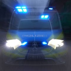 Rettungskräfte bringen die Verletzten in eine Klinik. (Symbolbild) Foto: Marcus Brandt/dpa