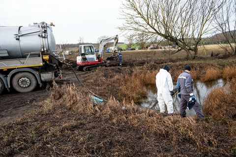 Man geht von wahrscheinlich 250.000 bis 350.000 Liter ausgetretenem Rohöl aus. Foto: Fabian Sommer/dpa