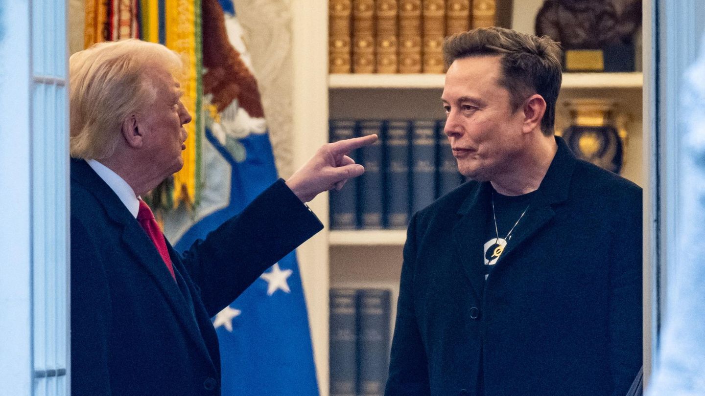 Donald Trump und Elon Musk
