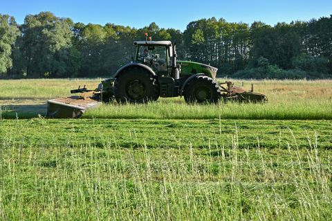 Die neuen Regeln zum Erhalt von Grünland treffen beim Bauernverband in Mecklenburg-Vorpommern auf Kritik. (Symbolbild) Foto: Pat