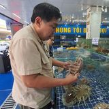 Ein Mann hält eine Riesenassel in einem Fischladen in den Händen