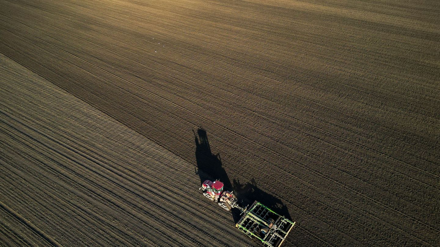 Die Bauern befürchten schwierige Geschäftsbedingungen 2026. (Archivbild) Foto: Jan Woitas/dpa