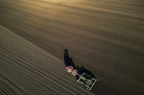 Die Bauern befürchten schwierige Geschäftsbedingungen 2026. (Archivbild) Foto: Jan Woitas/dpa