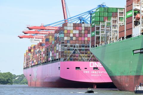 Containerschiffe im Juni 2025 im Hamburger Hafen