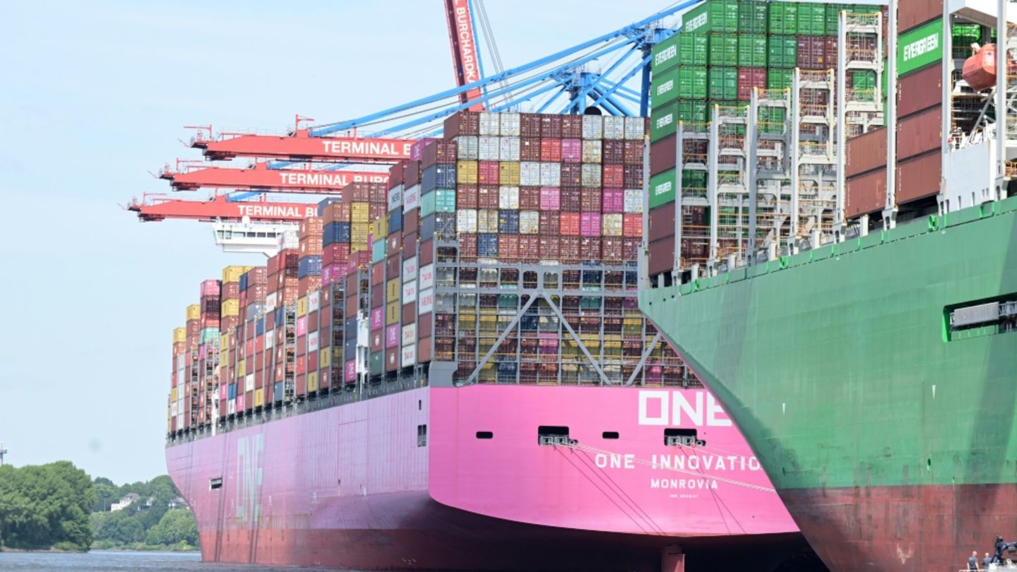 Containerschiffe im Juni 2025 im Hamburger Hafen