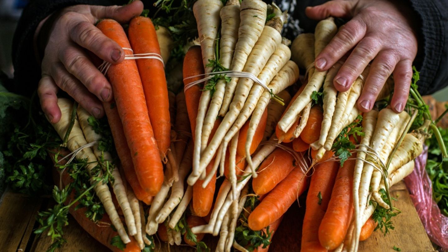 Wurzelgemüse