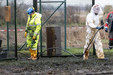 Arbeiter reinigen die vom Öl verseuchten Flächen in Brandenburg