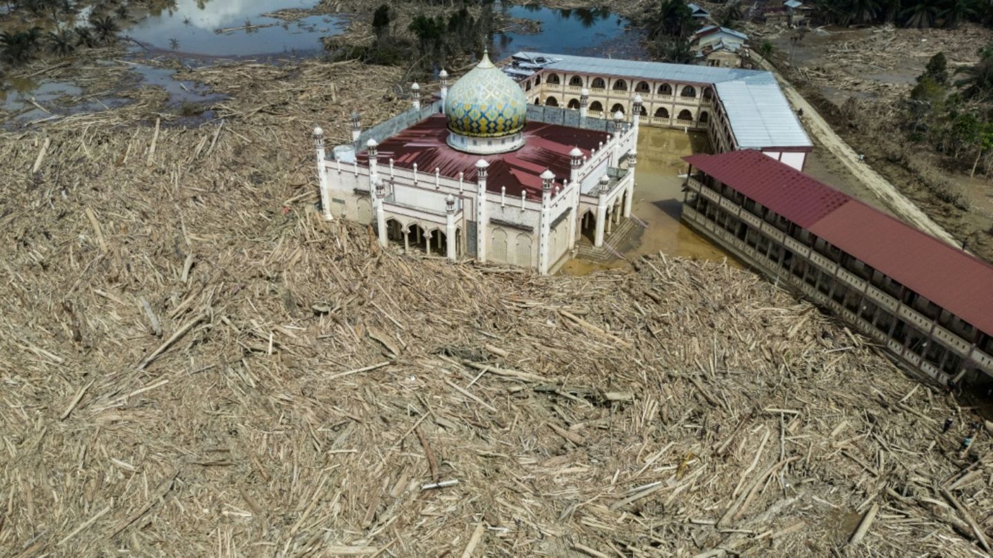 Entwurzelte Bäume wurden an Moschee und Internat angespült