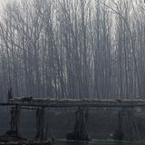 Distrikt Ganderbal, Indien. Ein Hirte treibt eine Schafherde über eine Holzbrücke in einem Dorf in Zentral-Kashmir, etwa 20 Kilometer entfernt von Srinagar, der Sommerhauptstadt des indischen Kaschmir