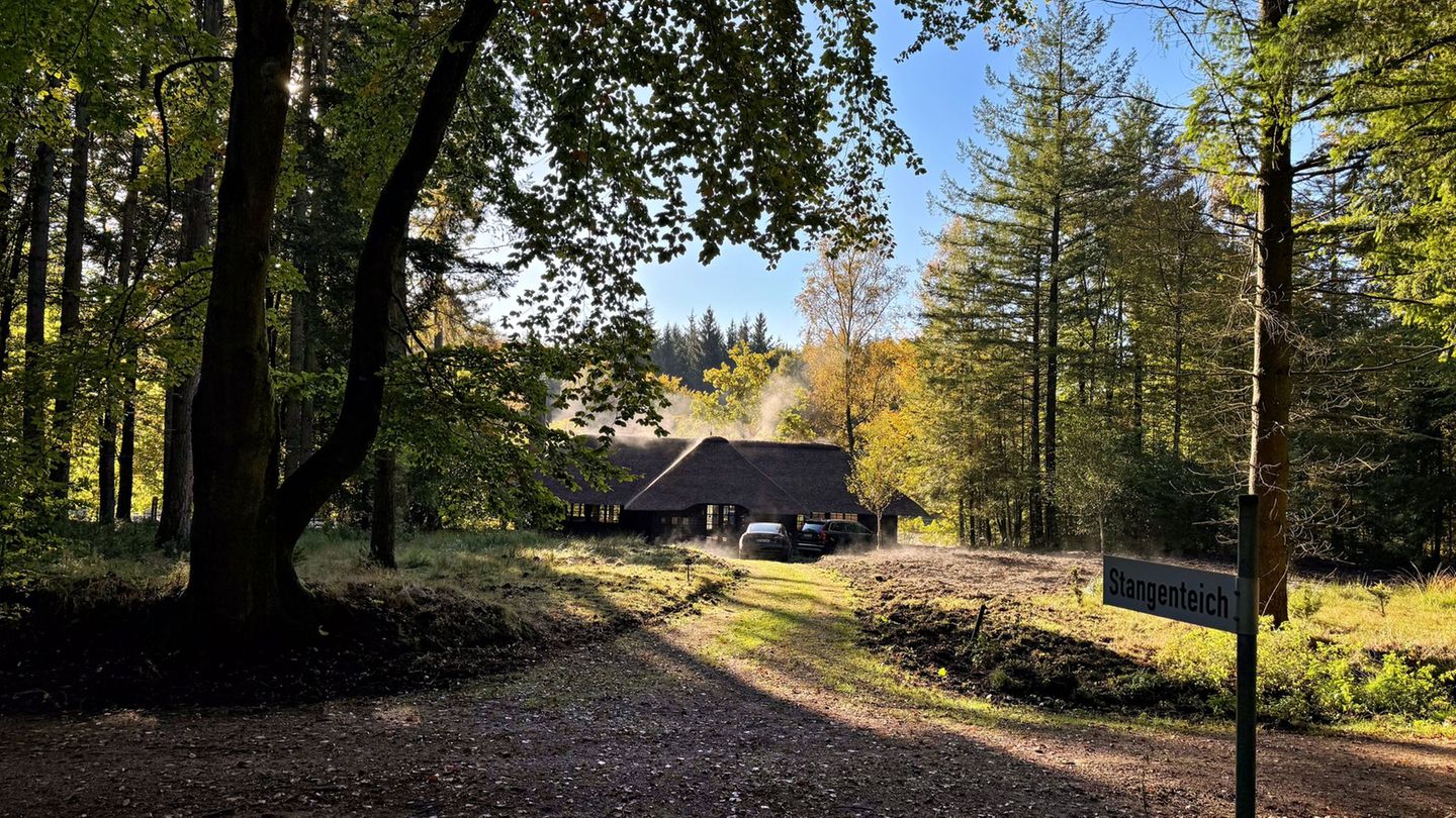Noch liegt der Wald in Privatbesitz. (Archivbild) Foto: Ulrich Perrey/dpa