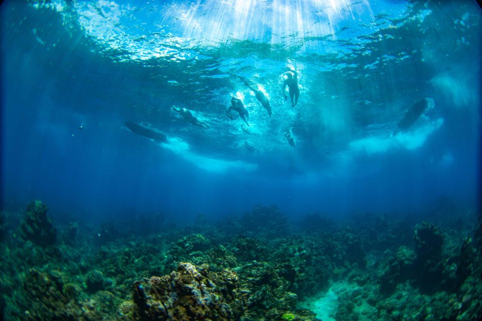 Ewigkeitschemikalien Schwimmer von unten Ewigkeitschemikalien Schwimmer von unten